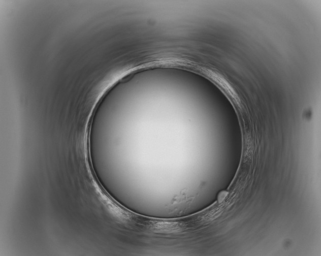 X0000096161439200801251118
