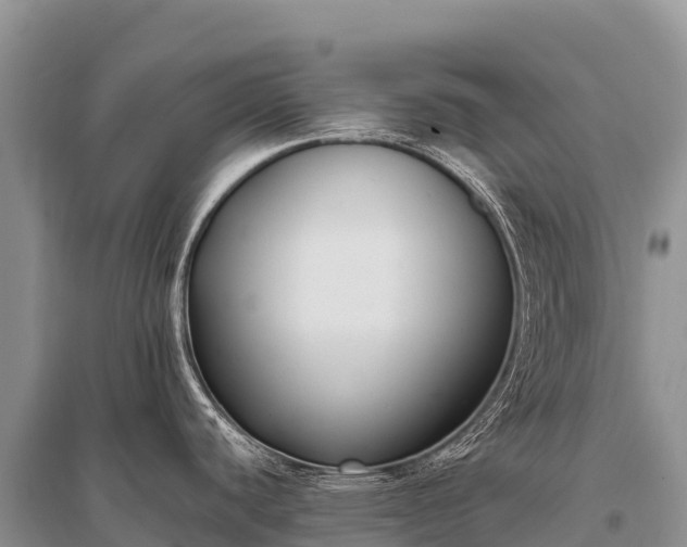 X0000096161440200801251118