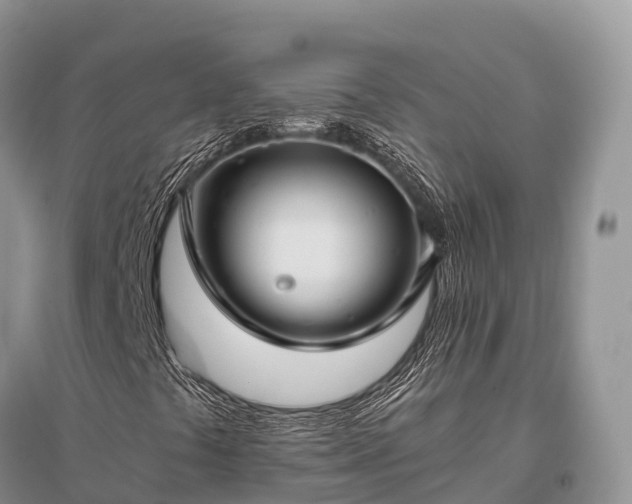 X0000096161441200801251117
