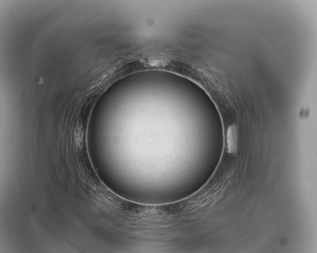 X0000096161443200801251117