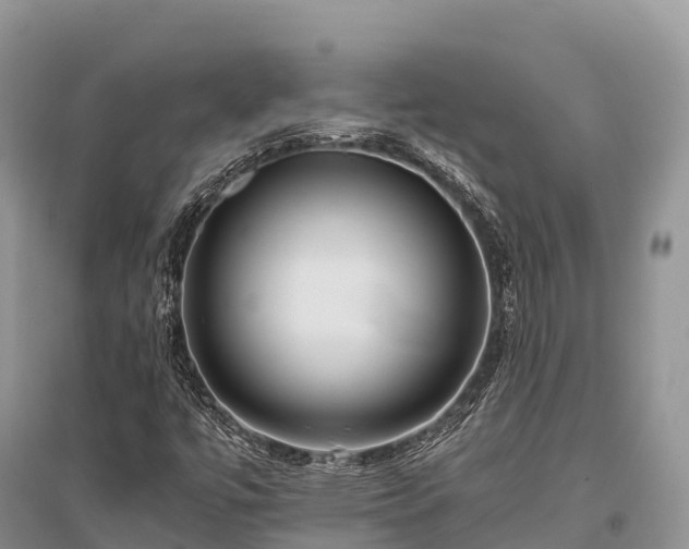 X0000096161447200801251117