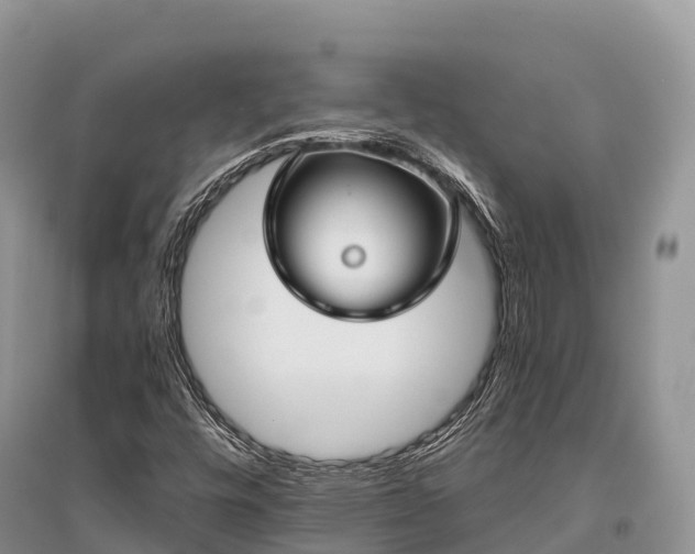 X0000096161448200801251117