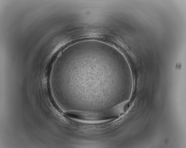 X0000096161450200801251117