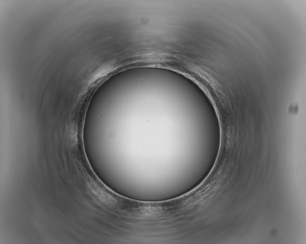 X0000096161451200801251117