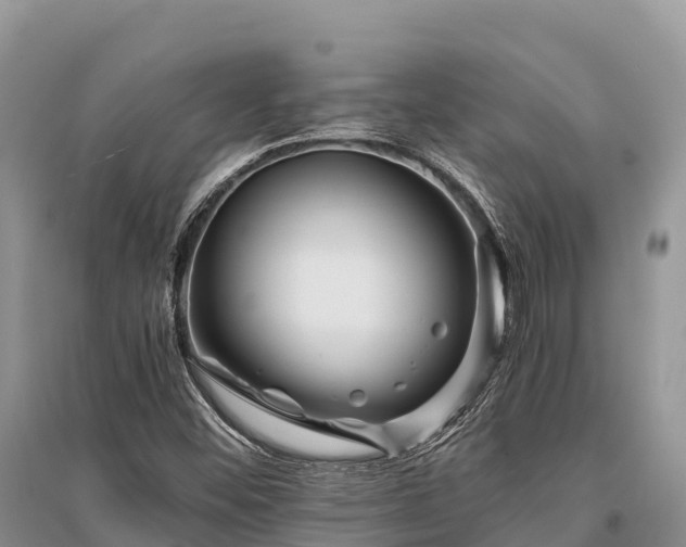X0000096161452200801251117