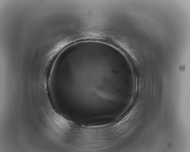 X0000096161455200801251117