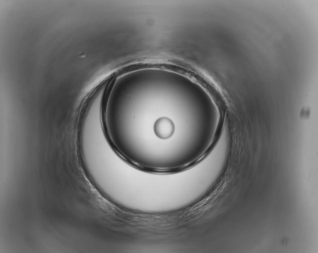 X0000096161456200801251117