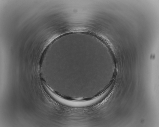 X0000096161457200801251117