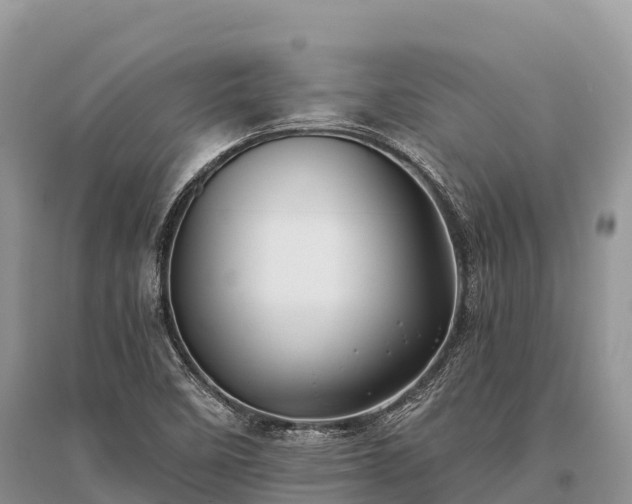 X0000096161458200801251117