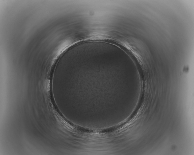 X0000096161459200801251117