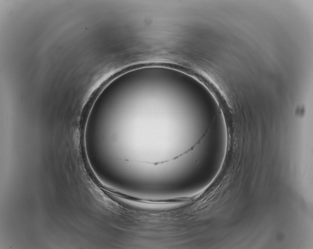 X0000096161460200801251117