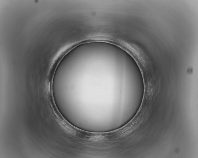 X0000096161462200801251117