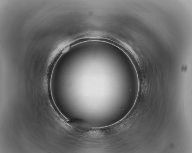X0000096161464200801251117