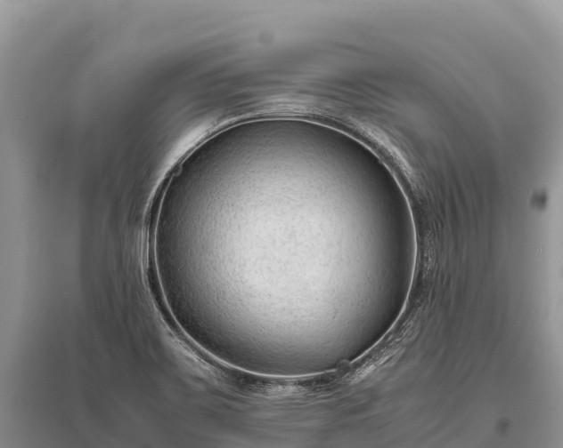 X0000096161467200801251117