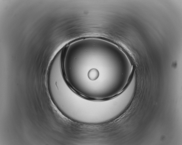 X0000096161468200801251117