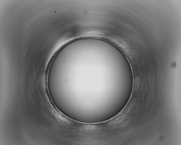 X0000096161470200801251116