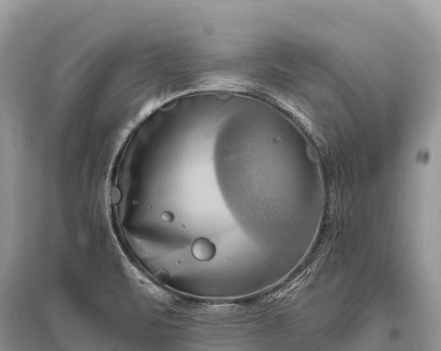 X0000096161471200801251116
