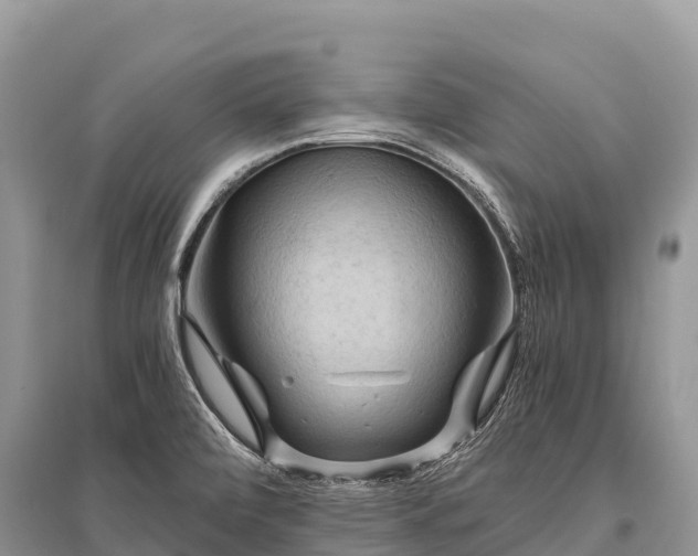 X0000096161472200801251116