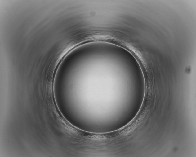 X0000096161473200801251116