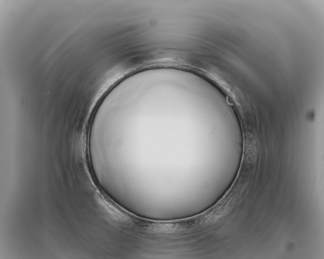 X0000096161474200801251116