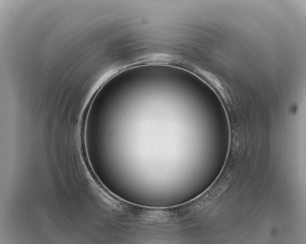 X0000096161475200801251116