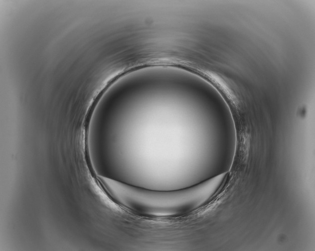 X0000096161476200801251116