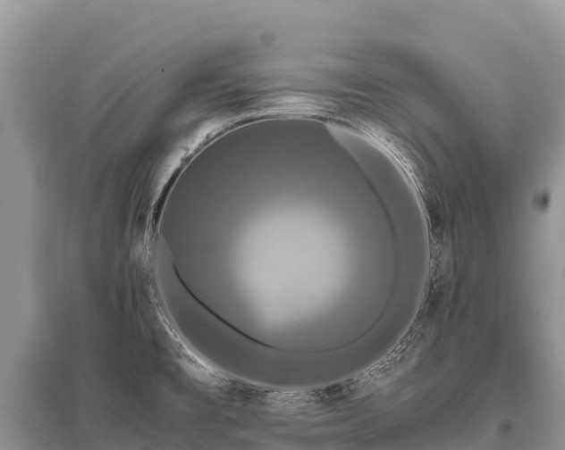 X0000096161477200801251116