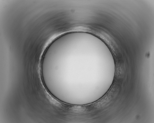 X0000096161478200801251116