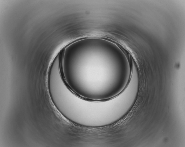 X0000096161480200801251116