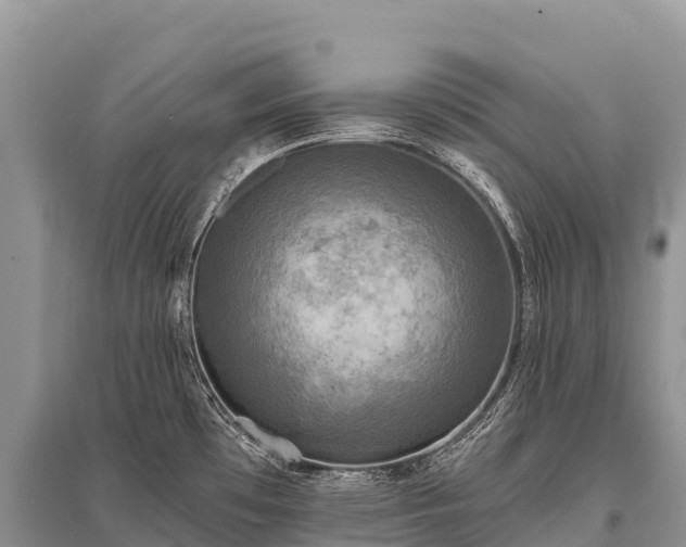 X0000096161481200801251116