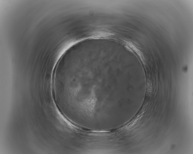 X0000096161487200801251116