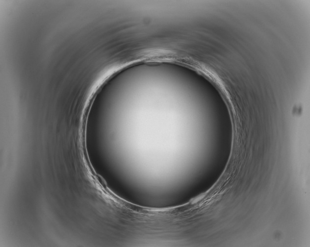 X0000096161488200801251116