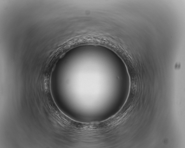 X0000096161490200801251115