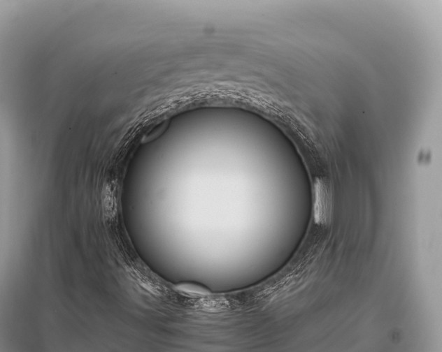 X0000096161491200801251115