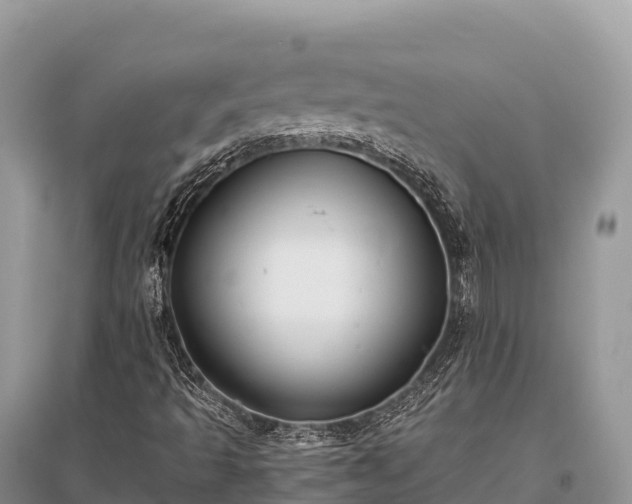 X0000096161493200801251115