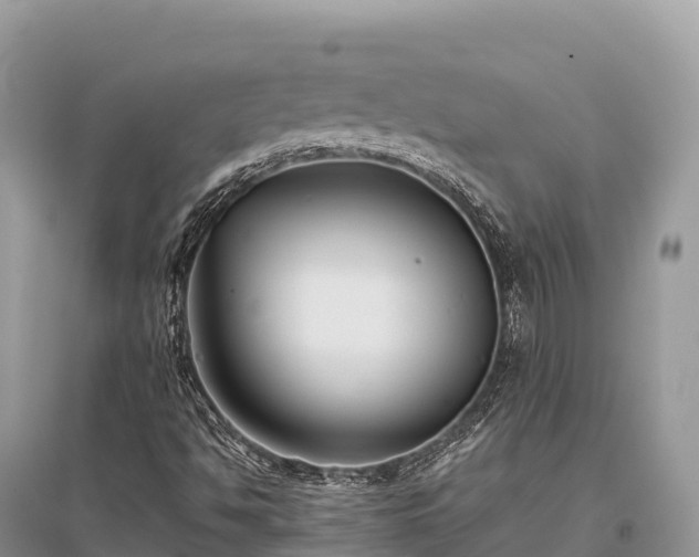 X0000096161494200801251115