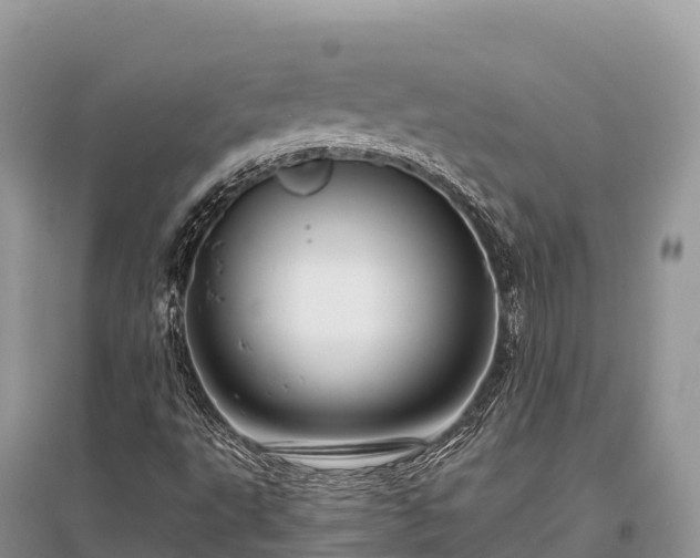 X0000096161495200801251115