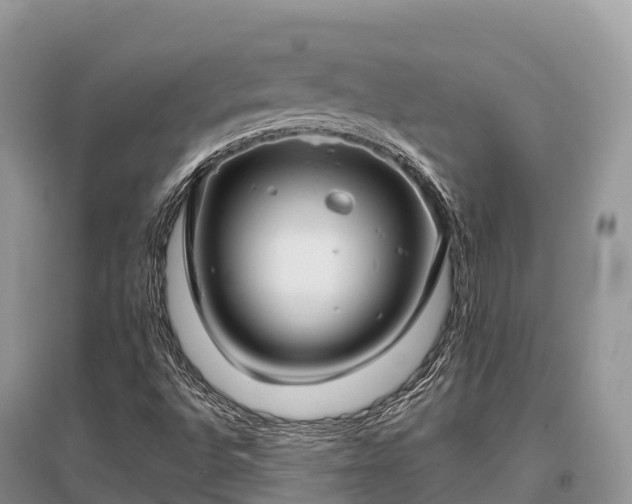 X0000096161496200801251116