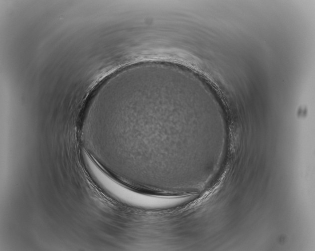 X0000096161497200801251116