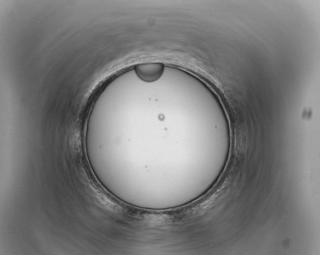X0000096161498200801251116