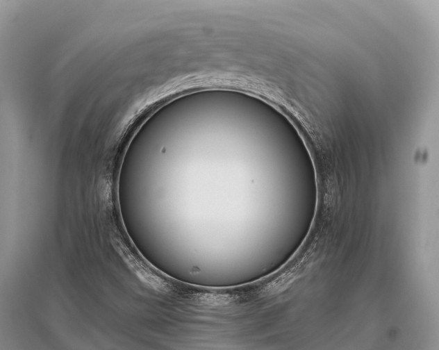 X0000096161499200801251116