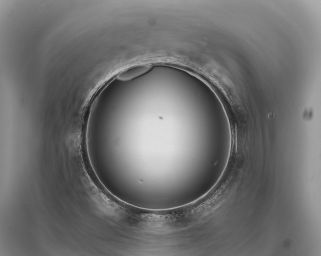 X0000096161500200801251116