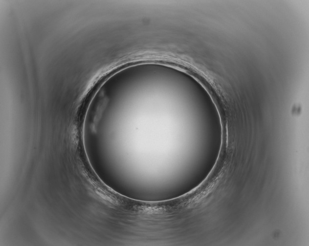 X0000096161501200801251116