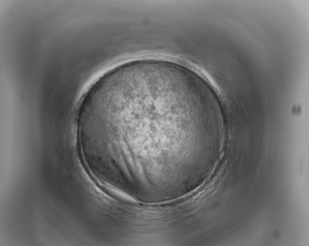 X0000096161504200801251116