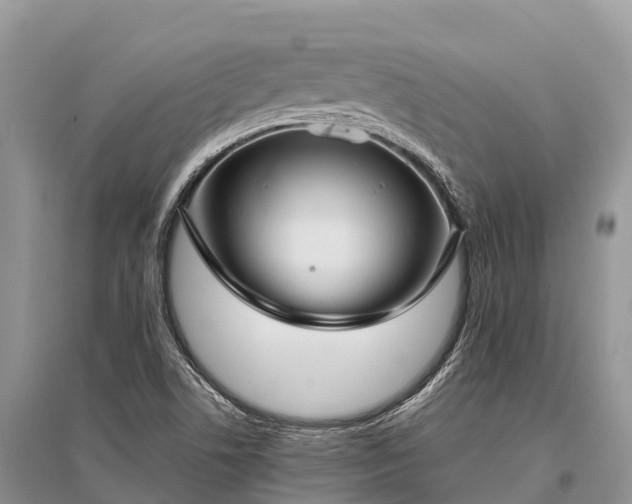 X0000096161506200801251116