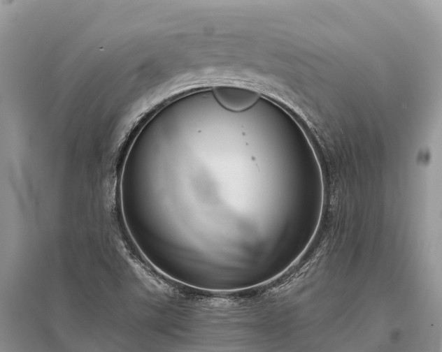 X0000096161507200801251116