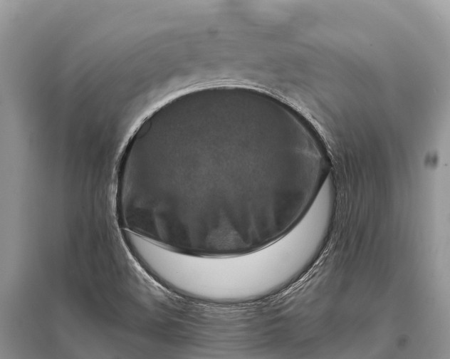 X0000096161508200801251116
