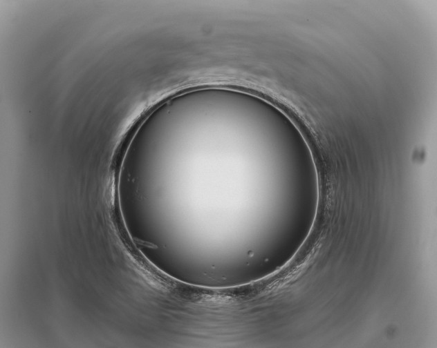 X0000096161509200801251116