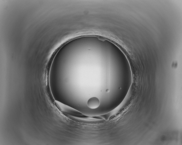 X0000096161510200801251116