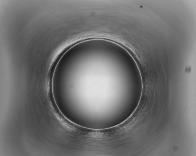 X0000096161511200801251116
